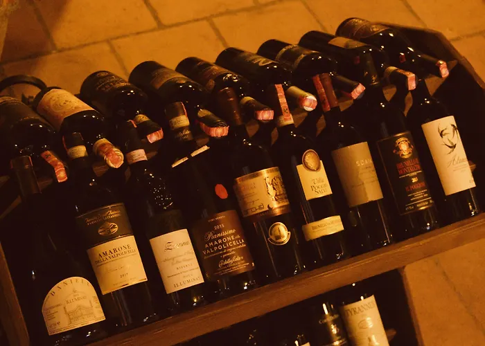 酒店 Brilant Antik 地拉那